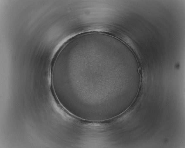 X0000112911132200909071528