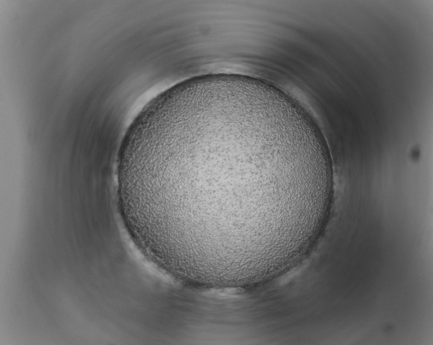 X0000112911133200909071528