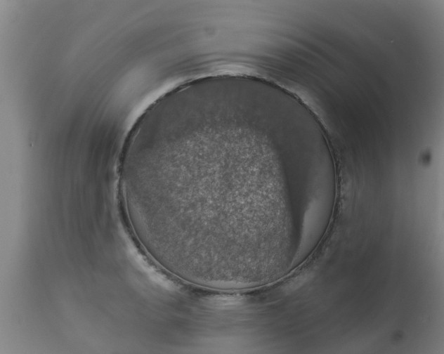 X0000112911134200909071528