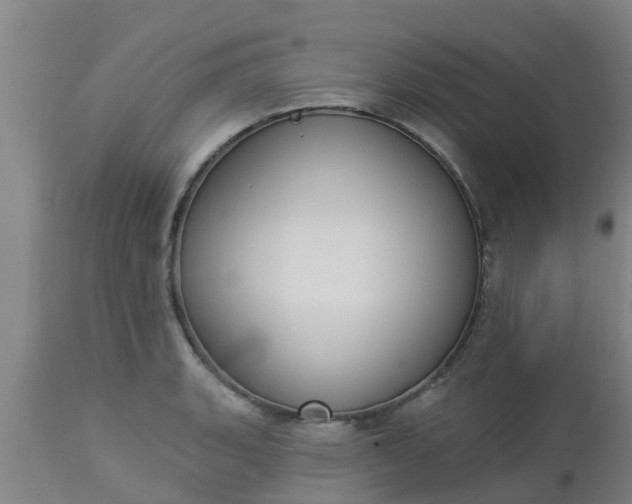 X0000112911135200909071528