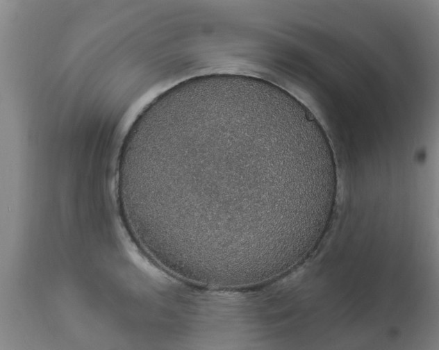 X0000112911136200909071528