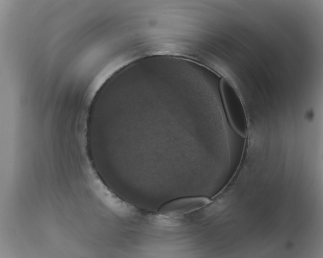 X0000112911138200909071528