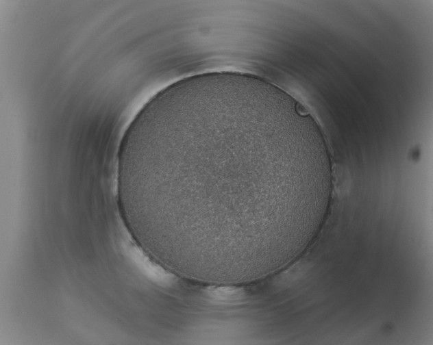 X0000112911140200909071528