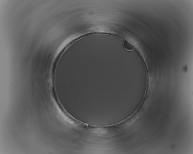 X0000112911141200909071528