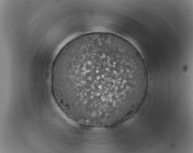 X0000112911142200909071528