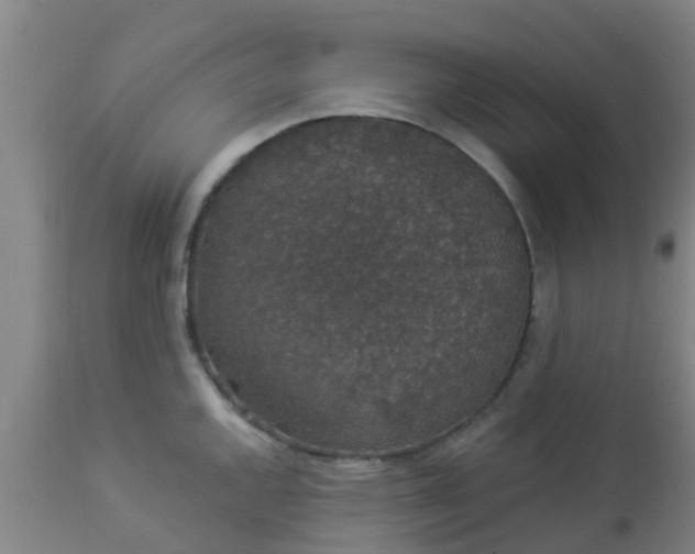 X0000112911144200909071528