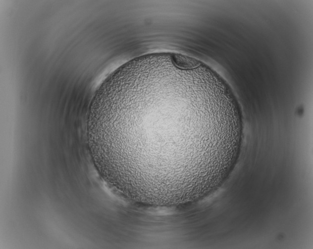 X0000112911145200909071528