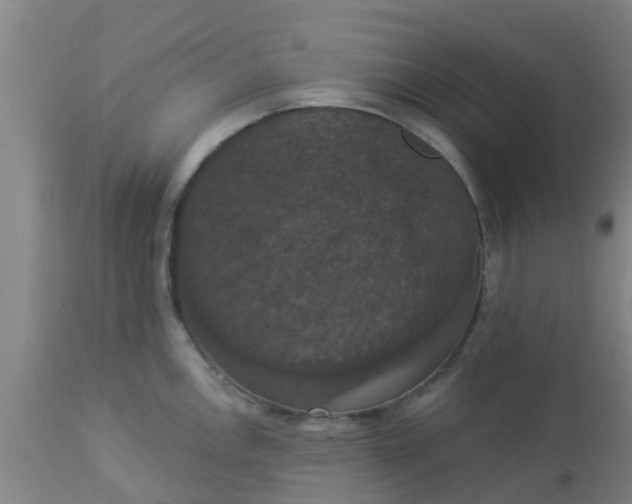 X0000112911146200909071528