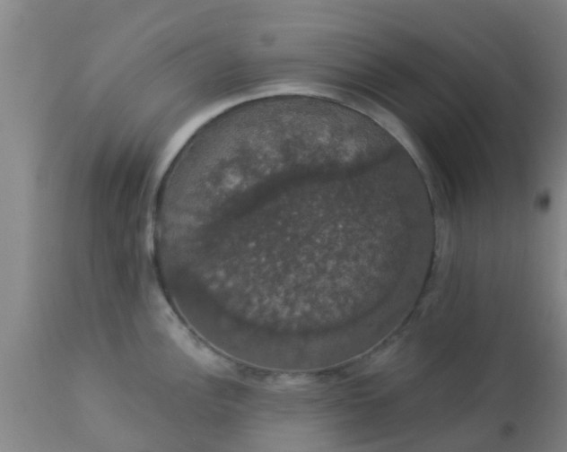 X0000112911148200909071528