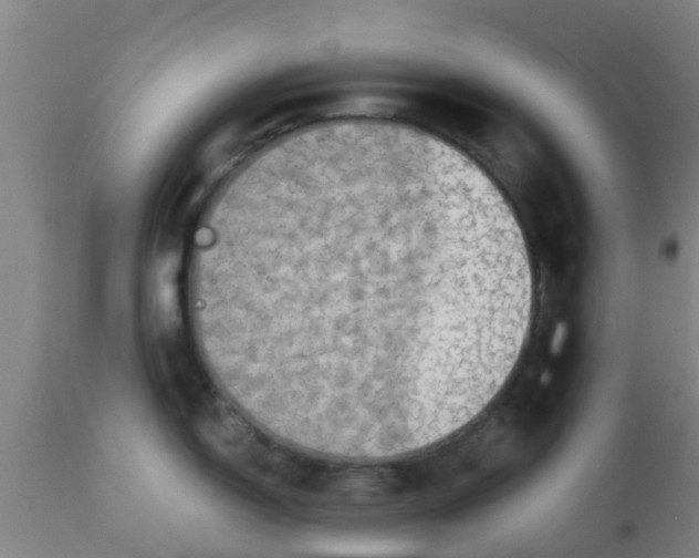 X0000112911150200909071528