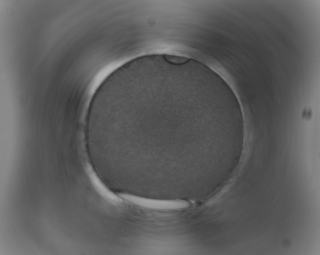 X0000112911152200909071528