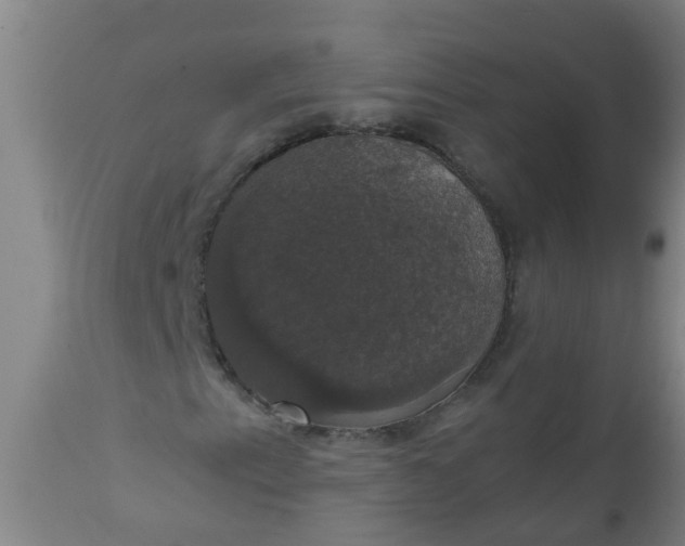 X0000112911153200909071528