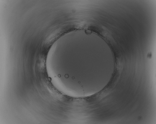 X0000112911154200909071528