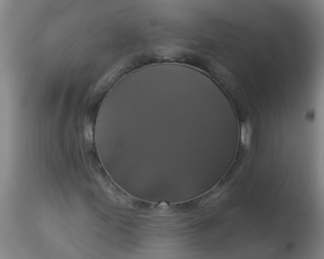 X0000112911155200909071528