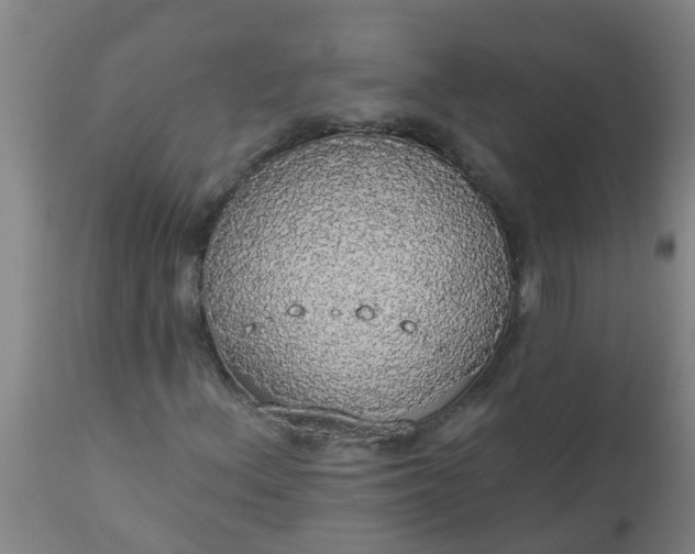 X0000112911156200909071528