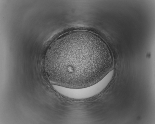 X0000112911157200909071528