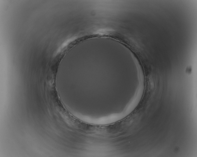 X0000112911158200909071528