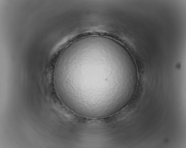 X0000112911159200909071528