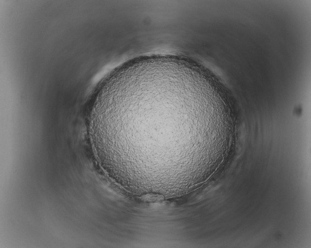 X0000112911160200909071528