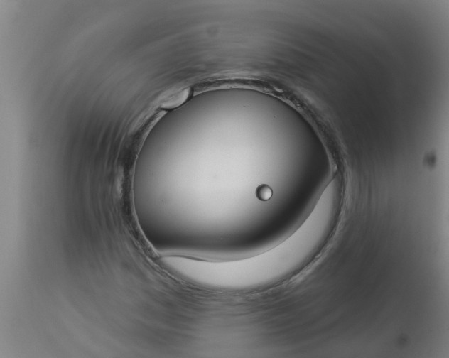 X0000112911161200909071528