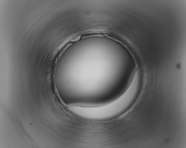 X0000112911162200909071527