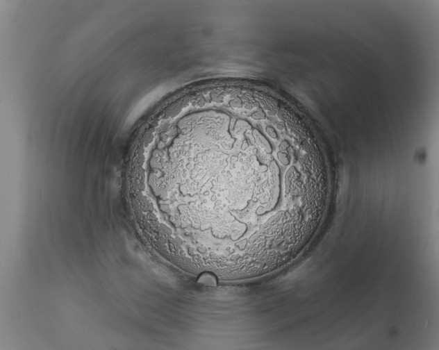 X0000112911163200909071527