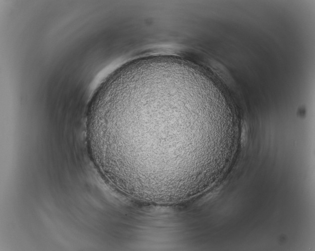 X0000112911164200909071527