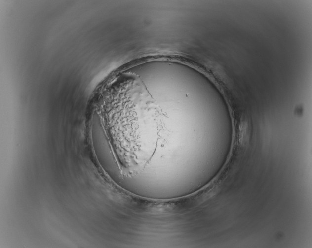 X0000112911165200909071527