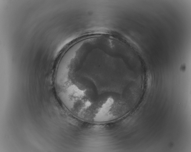 X0000112911166200909071527