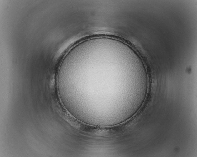 X0000112911167200909071527