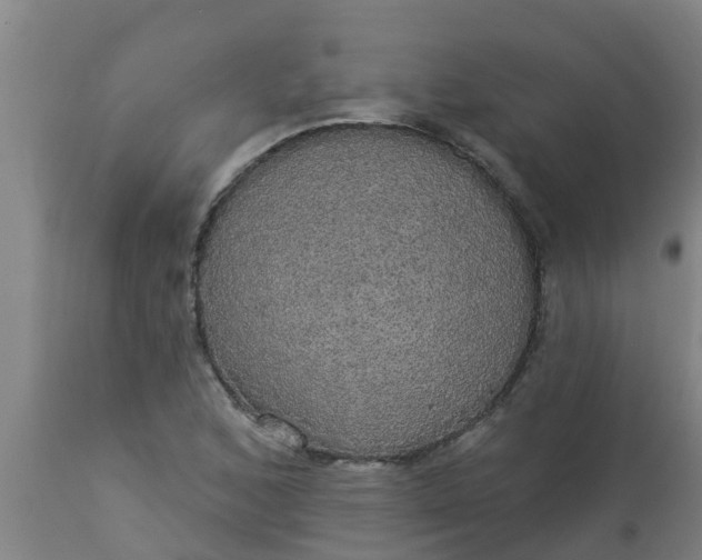 X0000112911168200909071527