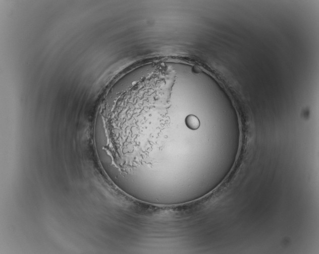 X0000112911169200909071527