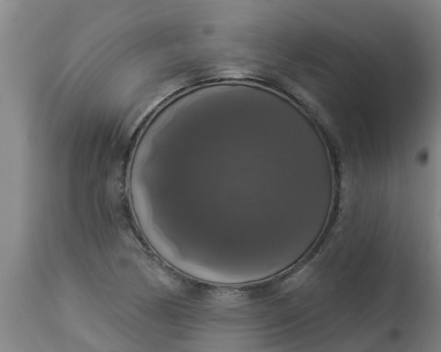 X0000112911170200909071527