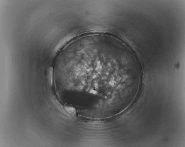 X0000112911171200909071527