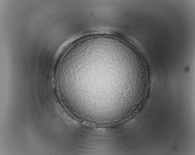 X0000112911172200909071527