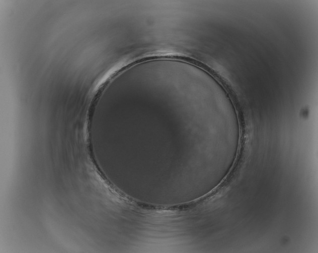 X0000112911173200909071527