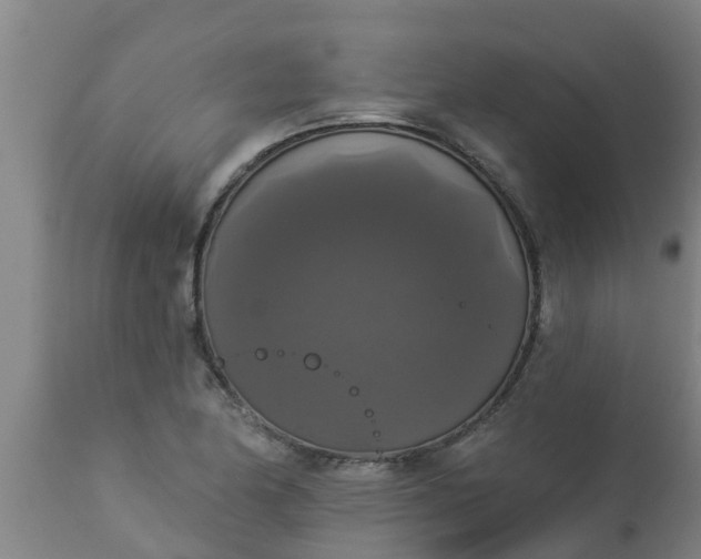 X0000112911174200909071527