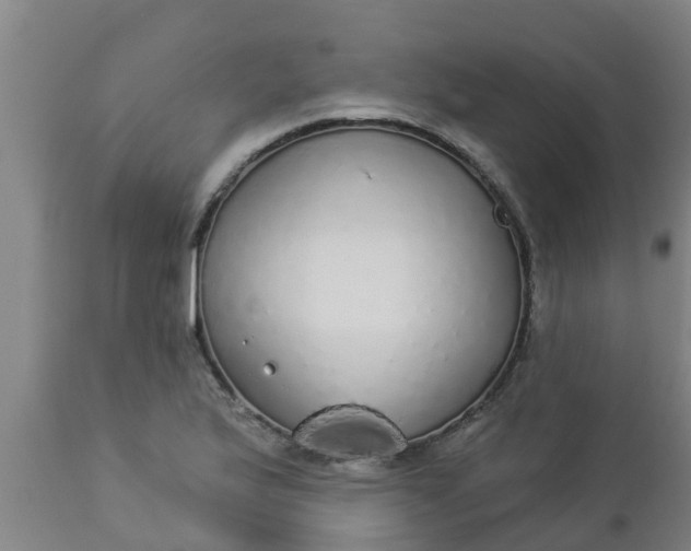 X0000112911175200909071527