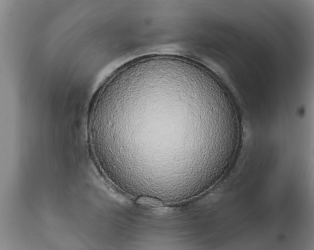 X0000112911176200909071527