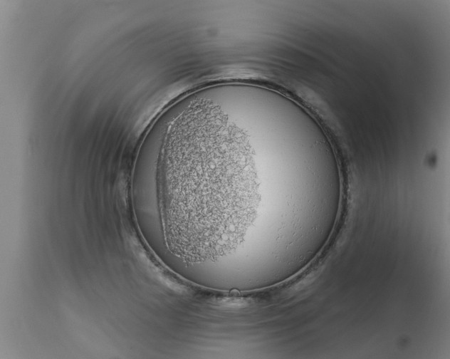 X0000112911177200909071527