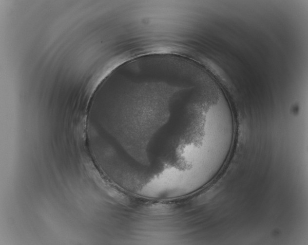 X0000112911178200909071527