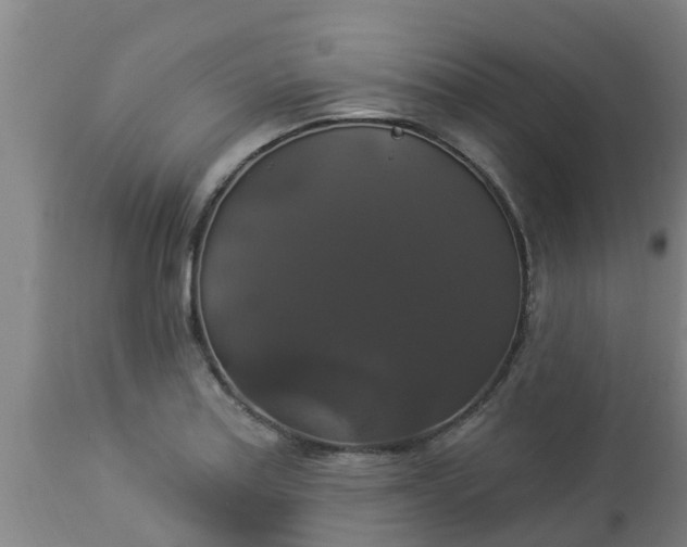 X0000112911179200909071527