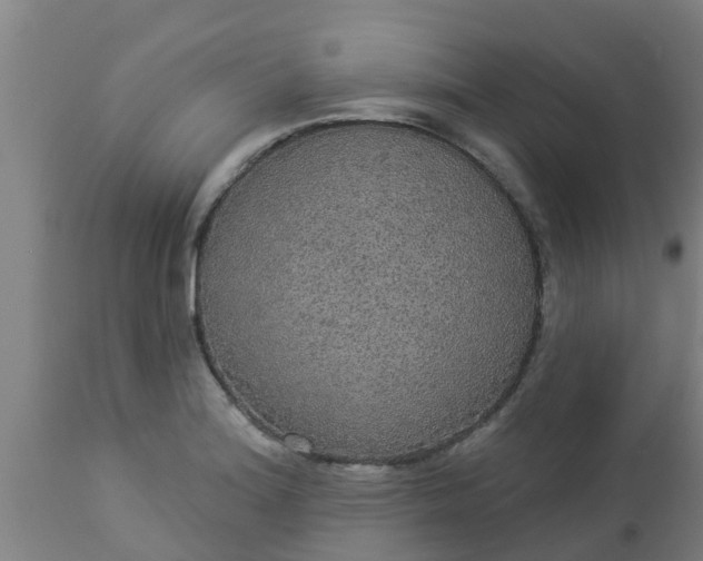 X0000112911180200909071527