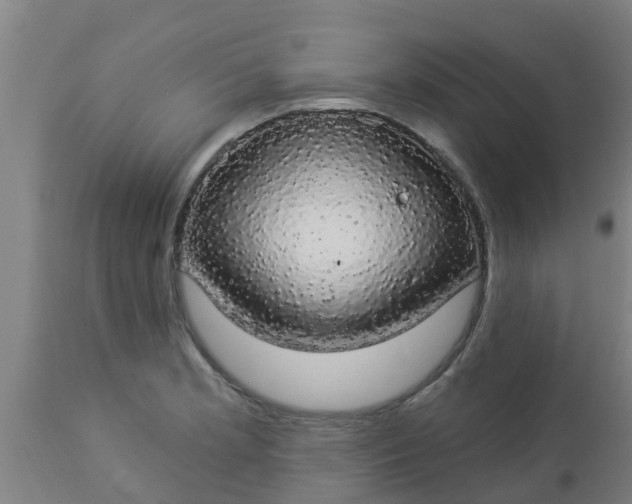 X0000112911181200909071527