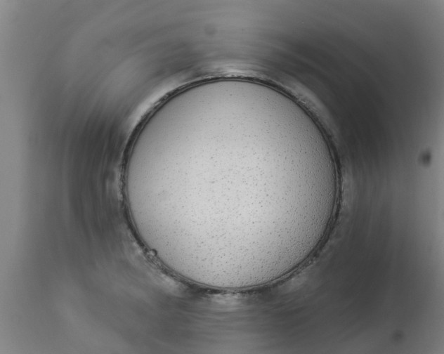 X0000112911182200909071527