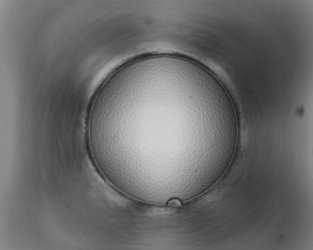 X0000112911183200909071527