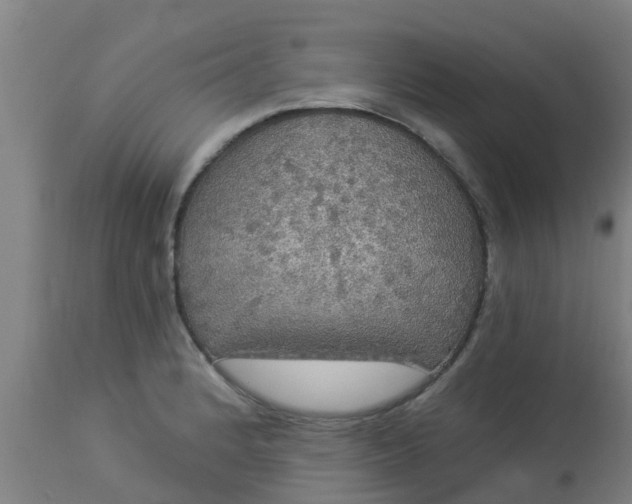 X0000112911184200909071527