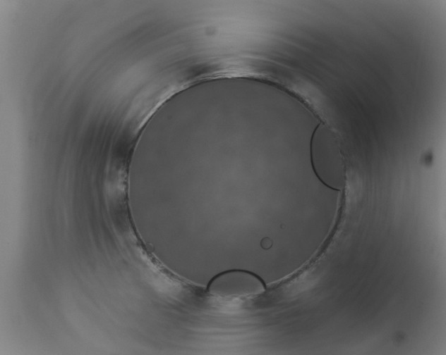 X0000112911185200909071527