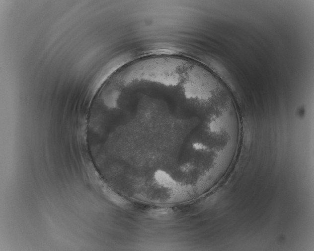 X0000112911186200909071527