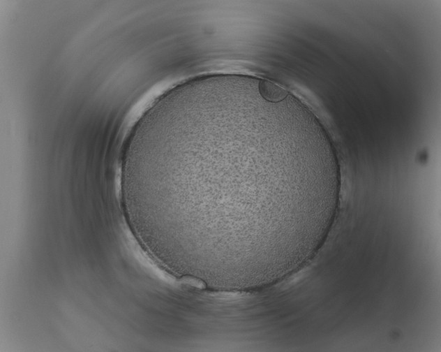 X0000112911188200909071527